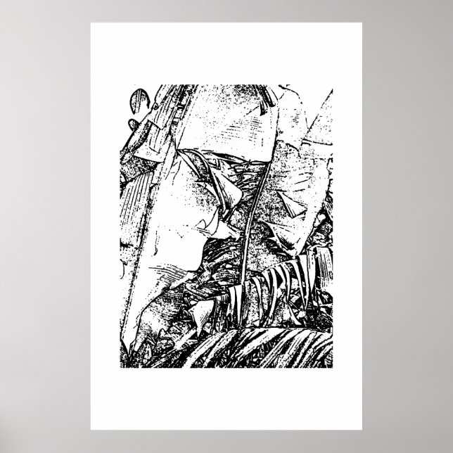 Bananengrenzen Poster (Vorne)