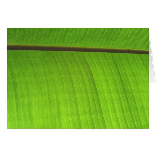Bananenleaf Nah (Vorderseite (Horizontal))