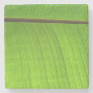 Bananenleaf Nah Steinuntersetzer