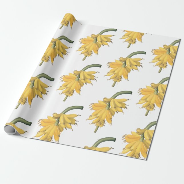 Bananenmuster Geschenkpapier (Ungerollt)