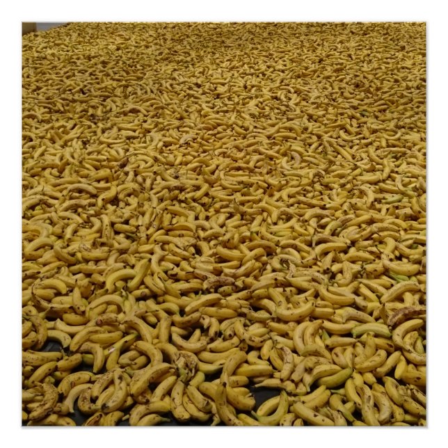 Bananenrepublik 20" x 20",Posterpapier,Halbglanz Poster (Vorderseite)