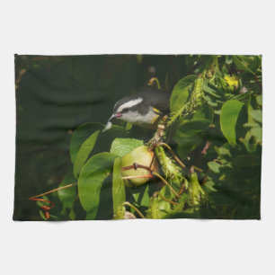 Bananquit-Vogel frisst tropische Fotografie Geschirrtuch