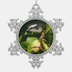 Bananquit-Vogel frisst tropische Fotografie Schneeflocken Zinn-Ornament