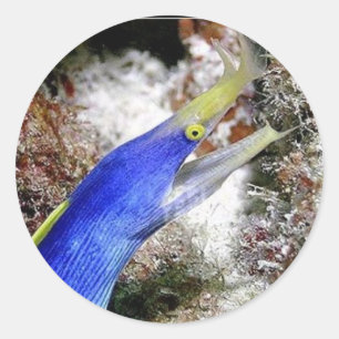 Band-Aal Runder Aufkleber