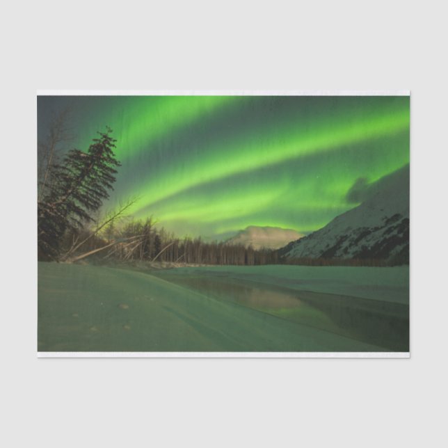 Banded Aurora Seidenpapier (Vorderseite)