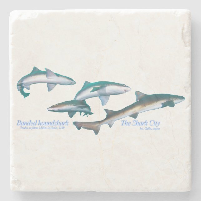 Bandenhai Steinuntersetzer (Vorderseite)