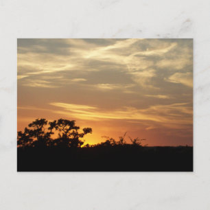 Bandera Texas Sunset Postcard Postkarte