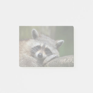 Bandit an Erholungniedlichem Raccoon Post-it Klebezettel