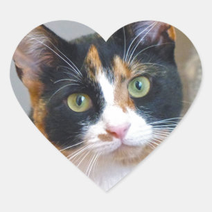 Bandit Herz-Aufkleber