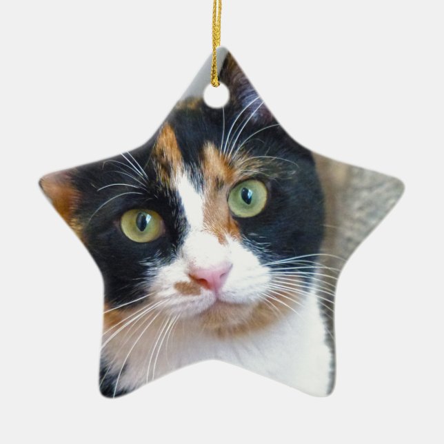 Bandit Keramik Ornament (Vorne)