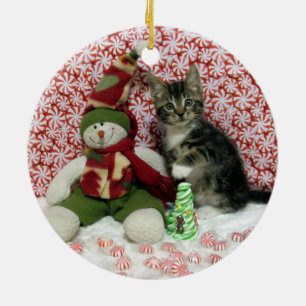 Bandit Kitten Cat Rescue Christmas Keramik Ornament