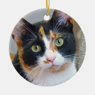 Bandit the Calico Cat Keramik Ornament
