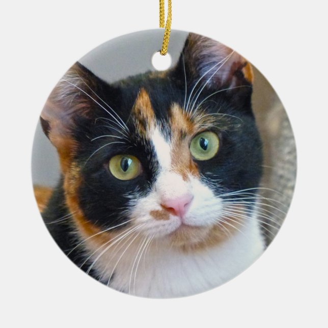 Bandit the Calico Cat Keramik Ornament (Vorne)