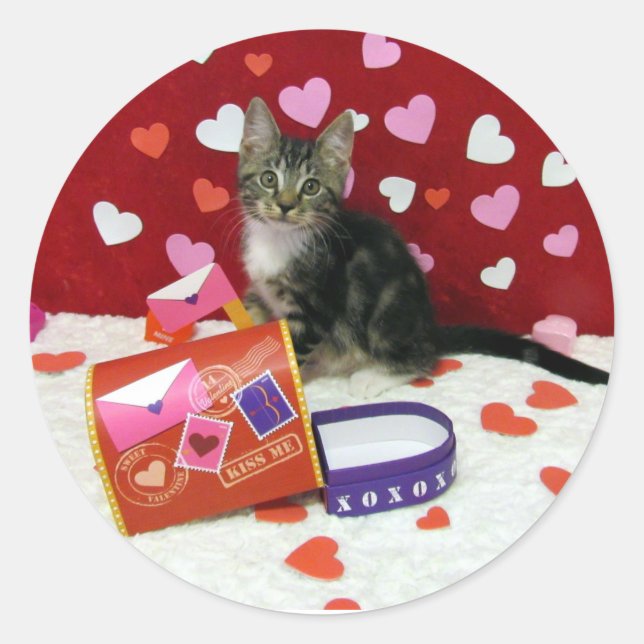 Bandit the Tabby Cat's Valentine's Stickers (Vorderseite)
