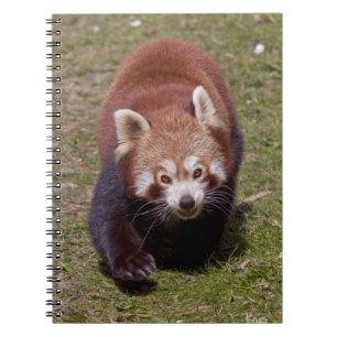 Banditen-Notizbuch Notizblock