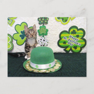 Bandit's St. Patrick's Day Cat / Kitten Postcard Postkarte