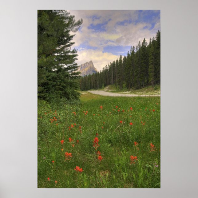 Banff National Park Poster (Vorne)