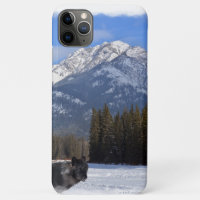 Banff Wolf im Winter mit Mt Kaskade