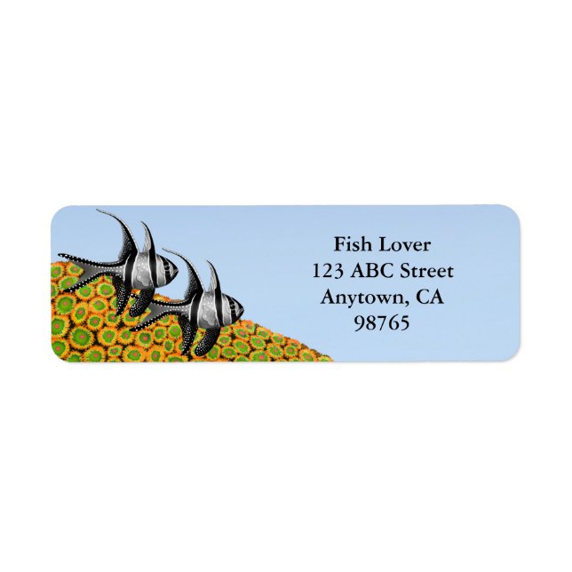 Banggai Cardinalfish & Zoanthid Corals Labels (Vorne)