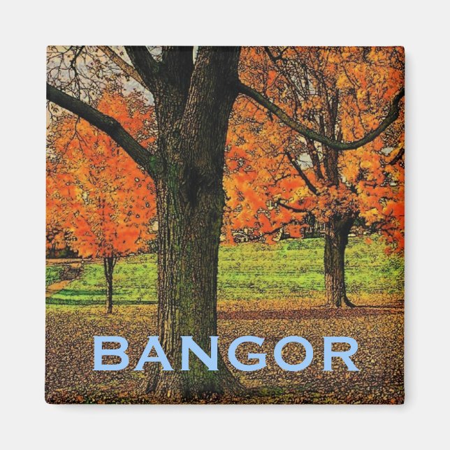 Bangor Magnet (Vorne)