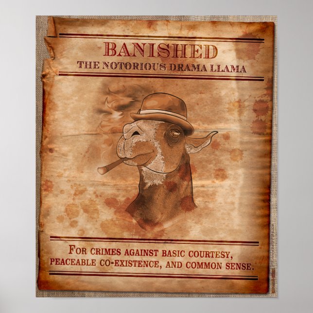 Banish Drama Llamas - 12" x 14" Poster (Vorne)