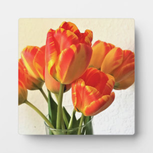 Banja Luka Tulips Fotoplatte