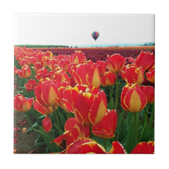 Banja Luka Tulips in einem Feld mit Heißluftballon Fliese (Vorderseite)