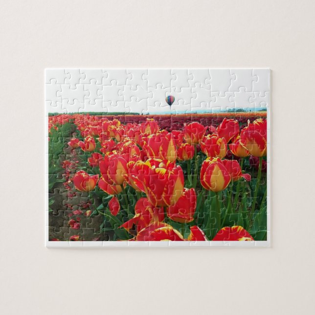 Banja Luka Tulips in einem Feld mit Heißluftballon Puzzle (Horizontal)