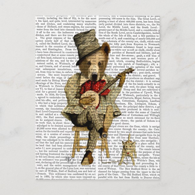 Banjo Bear Postkarte (Vorderseite)
