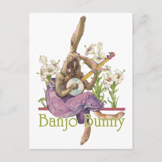 Banjo Bunny Postcard Postkarte (Vorderseite)