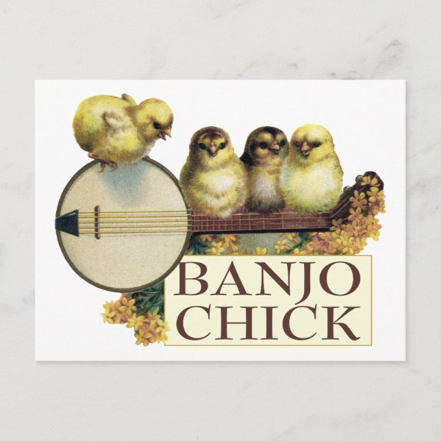 Banjo Chick Postcard Postkarte (Vorderseite)