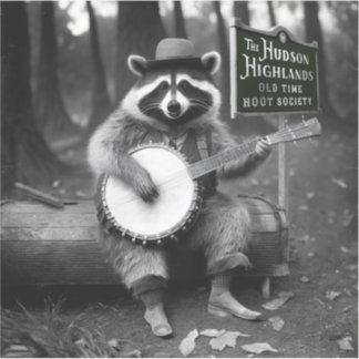 Banjo Raccoon Aufkleber