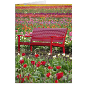 Bank auf einem Gebiet