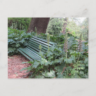 Bank im Park Postkarte