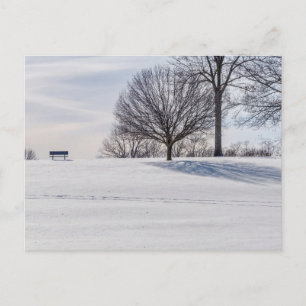 Bank on Snow Covered Hill Postcard Postkarte