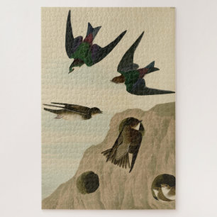 Bank, Violetgrüne Schwalben, Audubon Birds Amerika Puzzle
