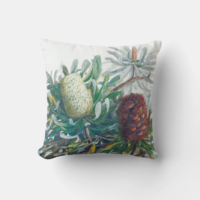 Banksia-Blume | Ellis Rowan 1782 Kissen (Vorderseite)