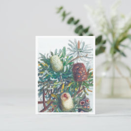 Banksia-Blume | Ellis Rowan 1782 Postkarte