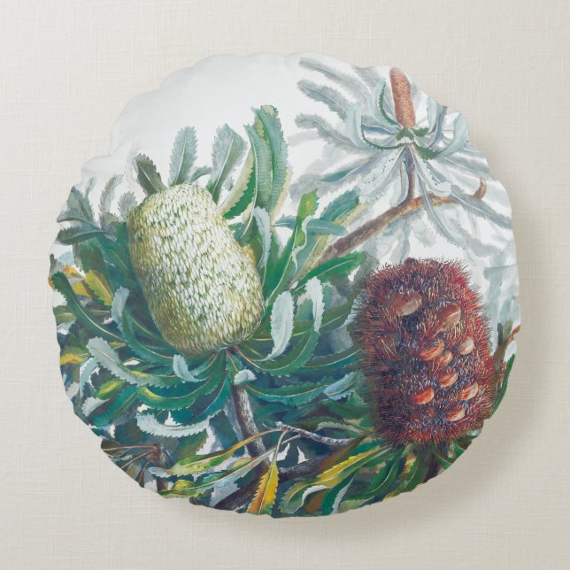 Banksia-Blume | Ellis Rowan 1782 Rundes Kissen (Vorderseite)