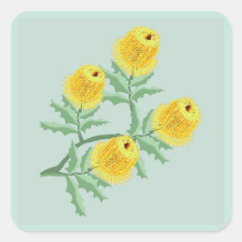 Banksia-Blume Quadratischer Aufkleber