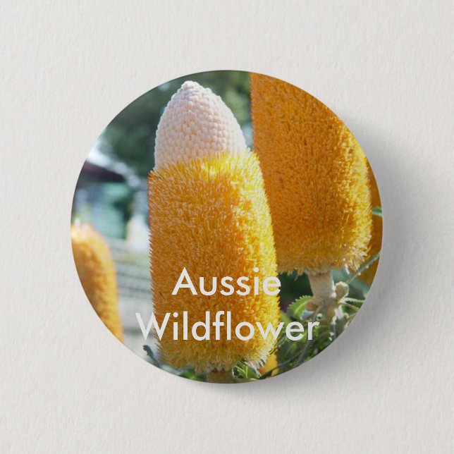 Banksia "goldene Kerzenständer " Button (Vorderseite)