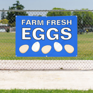 Banner für frische Eier vom Bauernhof