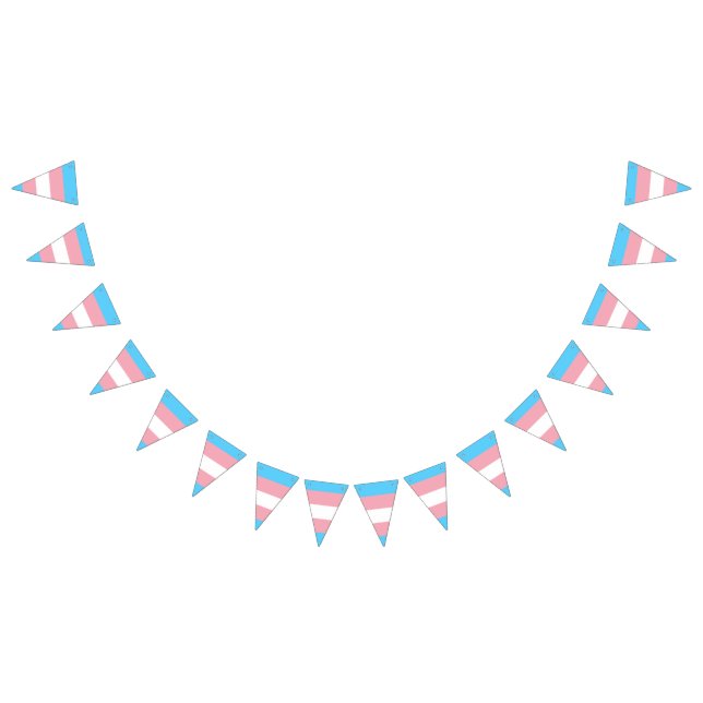 Banner für Transgender-Stolz (Alle)