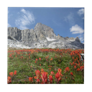 Banner Peak Wildblumen - Ansel Adams Wilderness Fliese