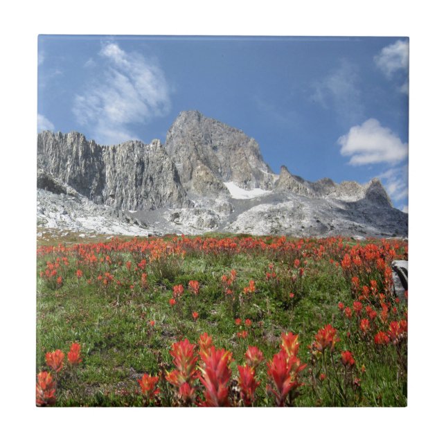 Banner Peak Wildblumen - Ansel Adams Wilderness Fliese (Vorderseite)