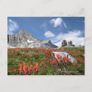 Banner Peak Wildblumen - Ansel Adams Wilderness Postkarte