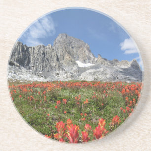 Banner Peak Wildblumen - Ansel Adams Wilderness Untersetzer