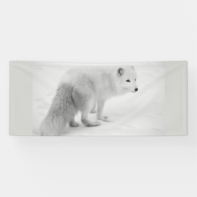 Banner "WHITE ARTIC FOX 2.5 X 6" (Horizontal)