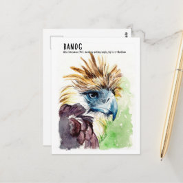 Banog/Philippine Eagle- DNM Postkarten
