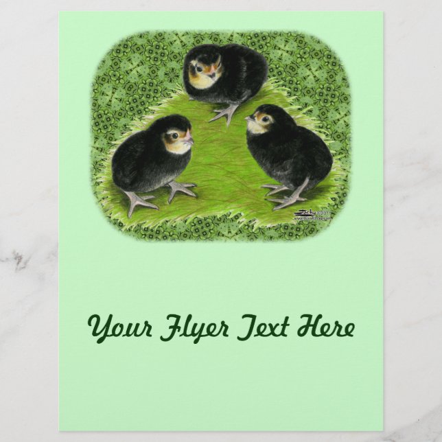 Bantam Chicks im Garten Flyer (Vorne)